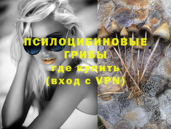 наркотики Новозыбков