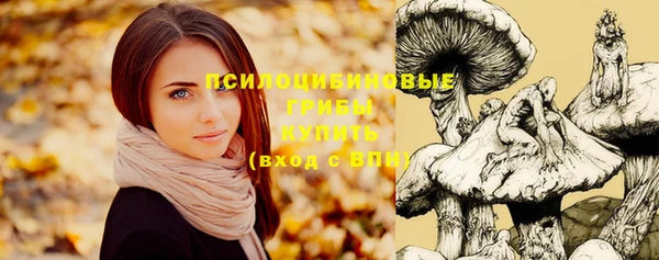 винт Нягань
