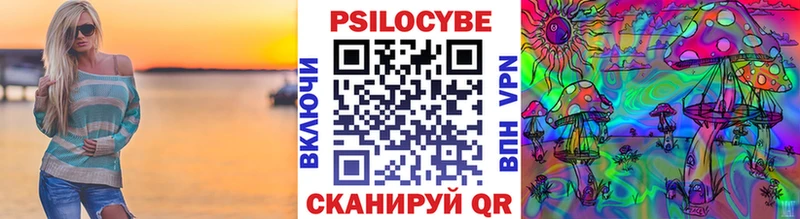 купить наркоту  Багратионовск  Псилоцибиновые грибы Psilocybine cubensis 